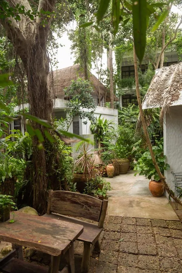 קו טאו Big Tree Boutique Hotel  קו טאו