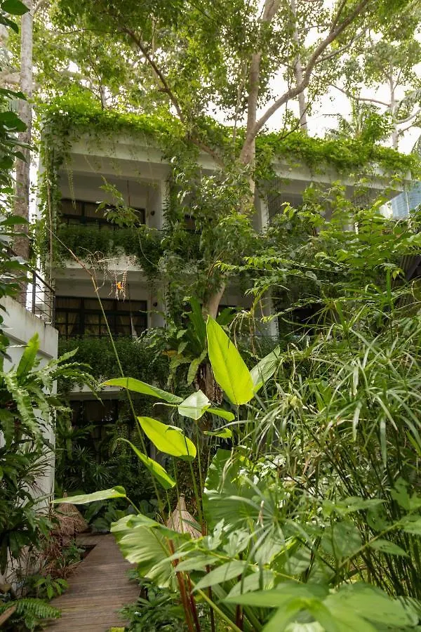 Big Tree Boutique Hotel Koh Tao
