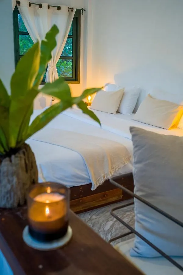 ***  Big Tree Boutique Hotel Koh Tao Thailand