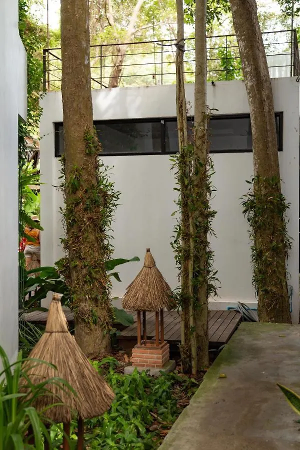 Big Tree Boutique Hotel Koh Tao 3*,